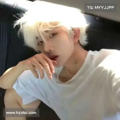 舒舜飚